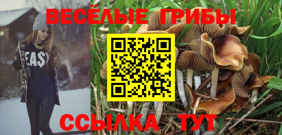Псилоцибиновые грибы GOLDEN TEACHER  Вход с VPN  Горячий Ключ  Псилоцибиновые грибы Psilocybine cubensis 