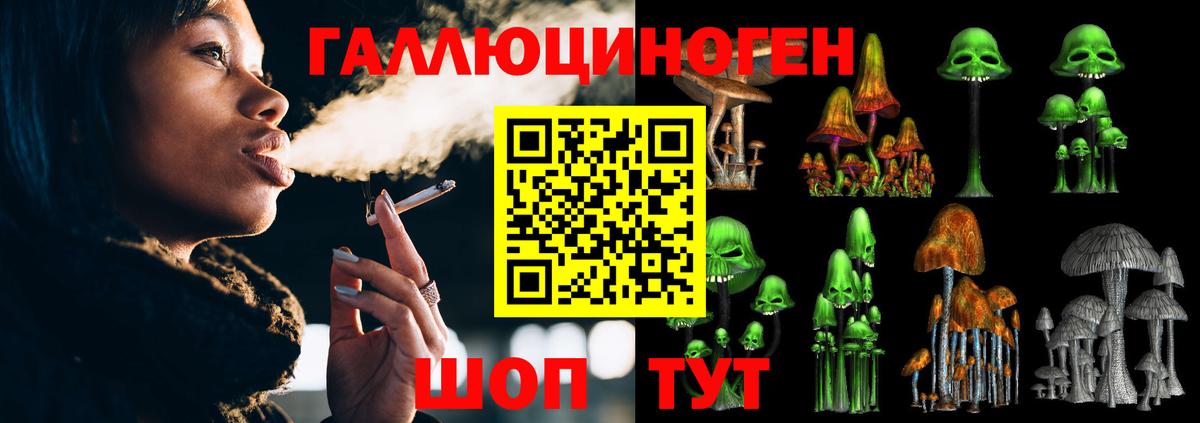 Псилоцибиновые грибы MAGIC MUSHROOMS Горячий Ключ
